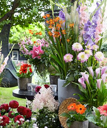Flower Fiesta